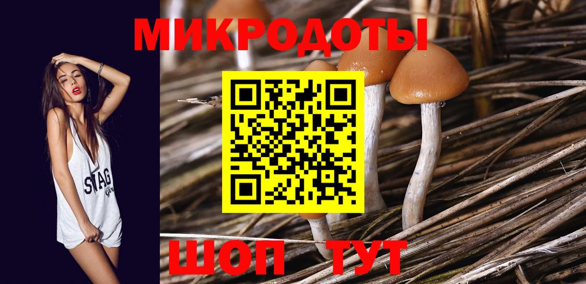 Галлюциногенные грибы прущие грибы Звенигород