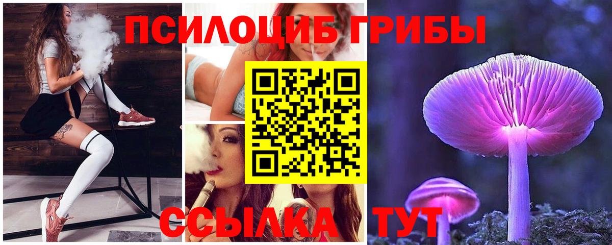 Псилоцибиновые грибы Psilocybe  Вход с VPN  Псилоцибиновые грибы Psilocybe  Звенигород 
